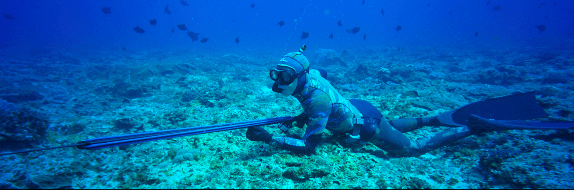 Spearfishing Gear Equipment Online Dive Newcastle