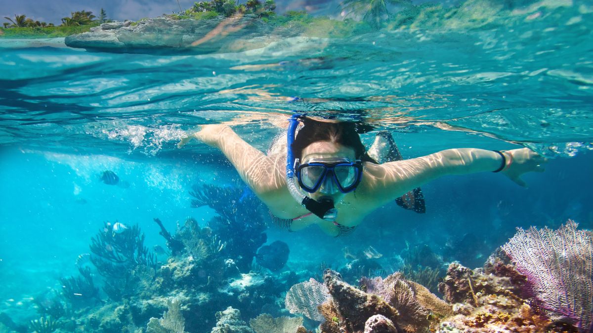 Snorkelling for Beginners: Top Mistakes to Avoid