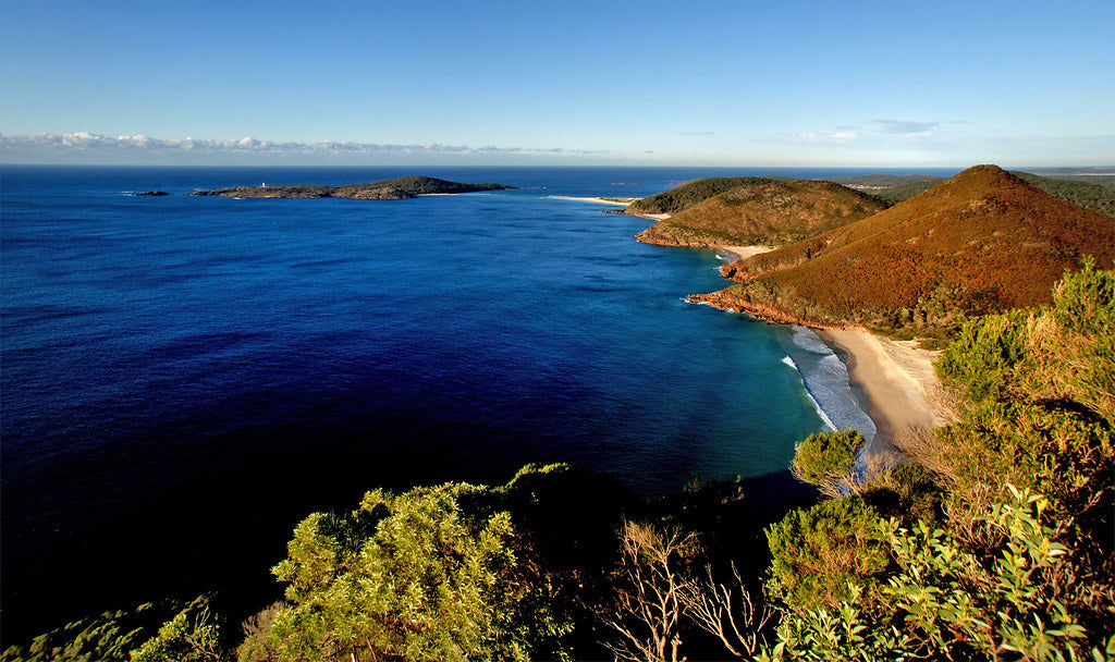 Port Stephens Diving Sites: Everything You Need to Know