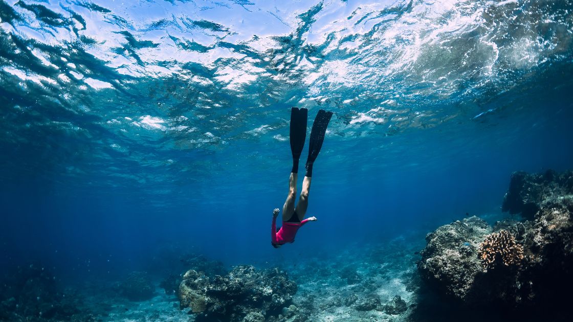How To Choose Snorkelling Fins? Dive Newcastle