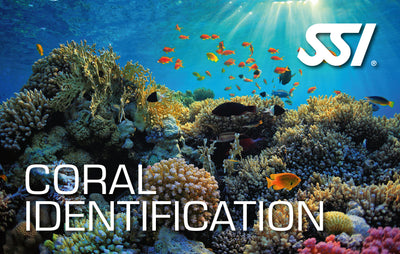 Coral Identification - Online Only
