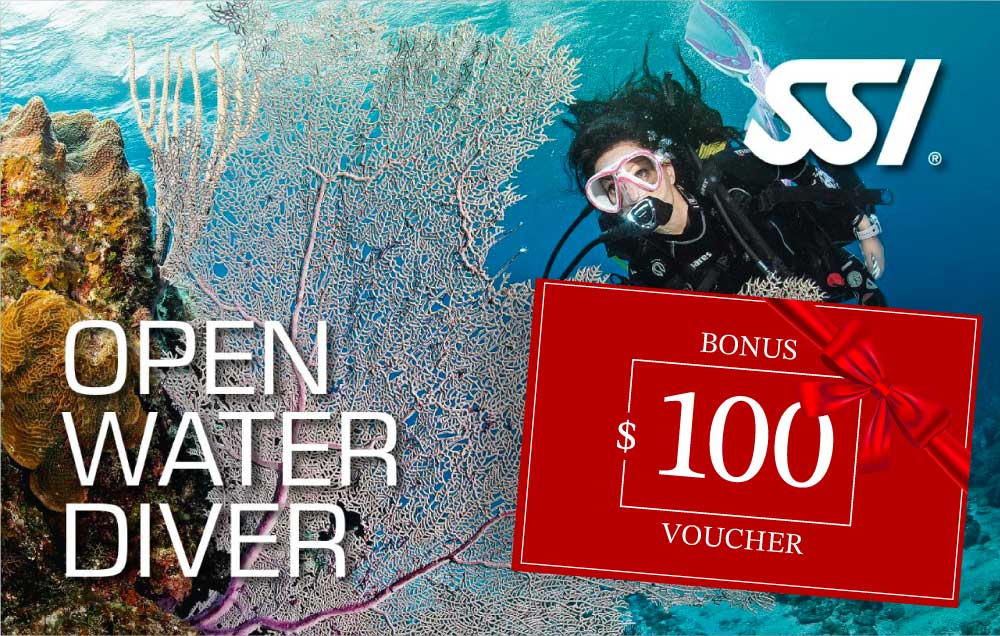 Learn To Dive Gift Card SSI Open Water Course + Bonus $100 Gift Card