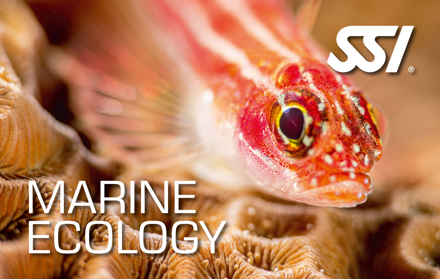 Marine Ecology - Online Only