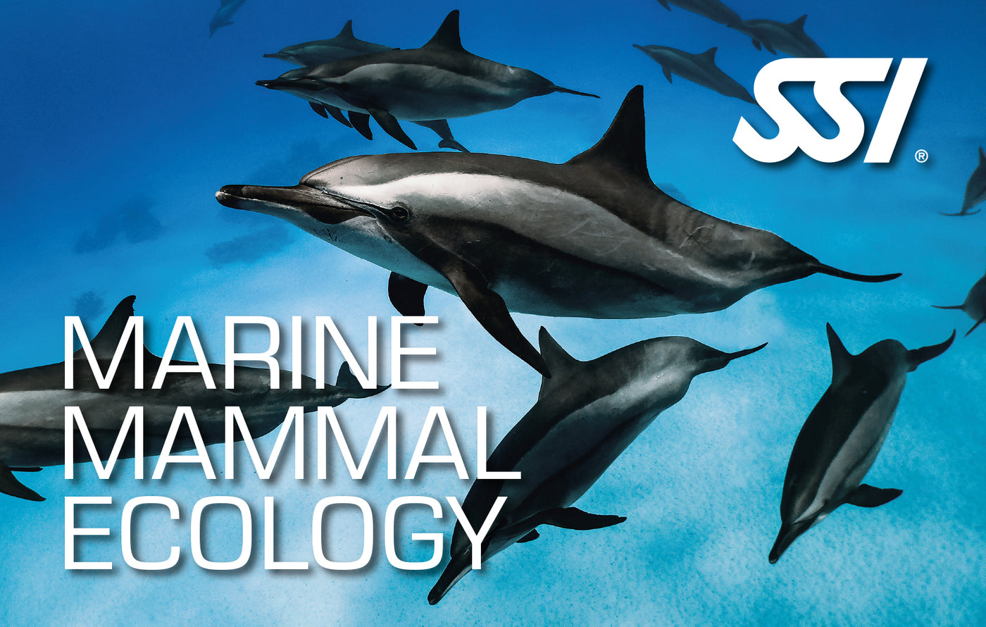 Marine Mammal Ecology - Online Only