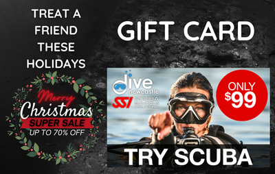 TRY SCUBA GIFT CARD JUST $99