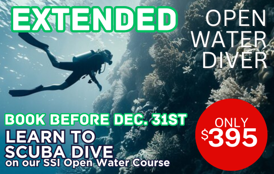 SSI Open Water Course OWD (18m) Mid Week Special