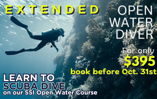 SSI Open Water Course OWD (18m) Mid Week Special