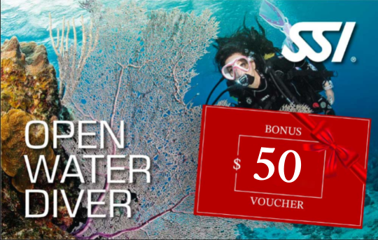 SSI Open Water Course OWD (18m) Mid Week Special