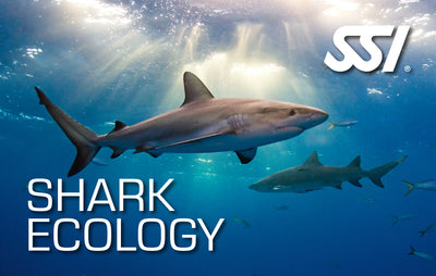Shark Ecology - Online only