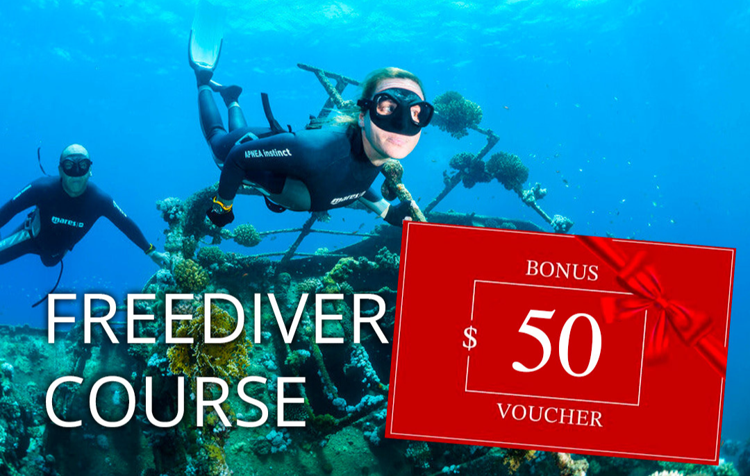 Freediver Course + Bonus $50 voucher Redeem Instore