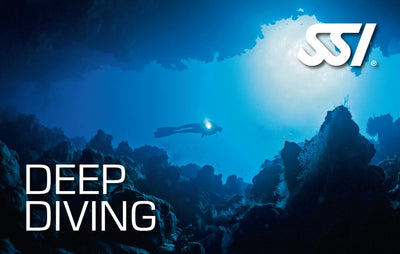 Deep Diving Dive Newcastle