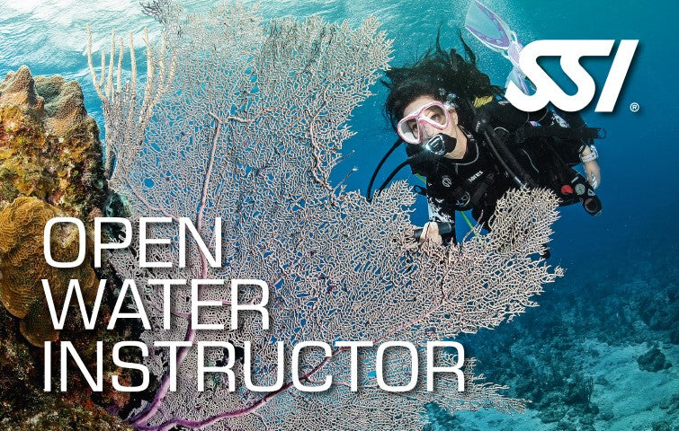 Dive Newcastle SSI Open Water Instructor