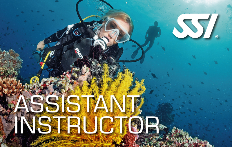 Assistant Instructor Dive Newcastle