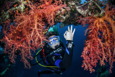 Dive Courses for beginners
