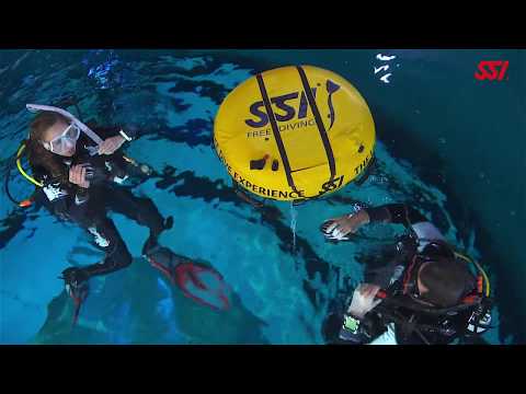 Learn To Dive Gift Card SSI Open Water Course + Bonus $100 Gift Card