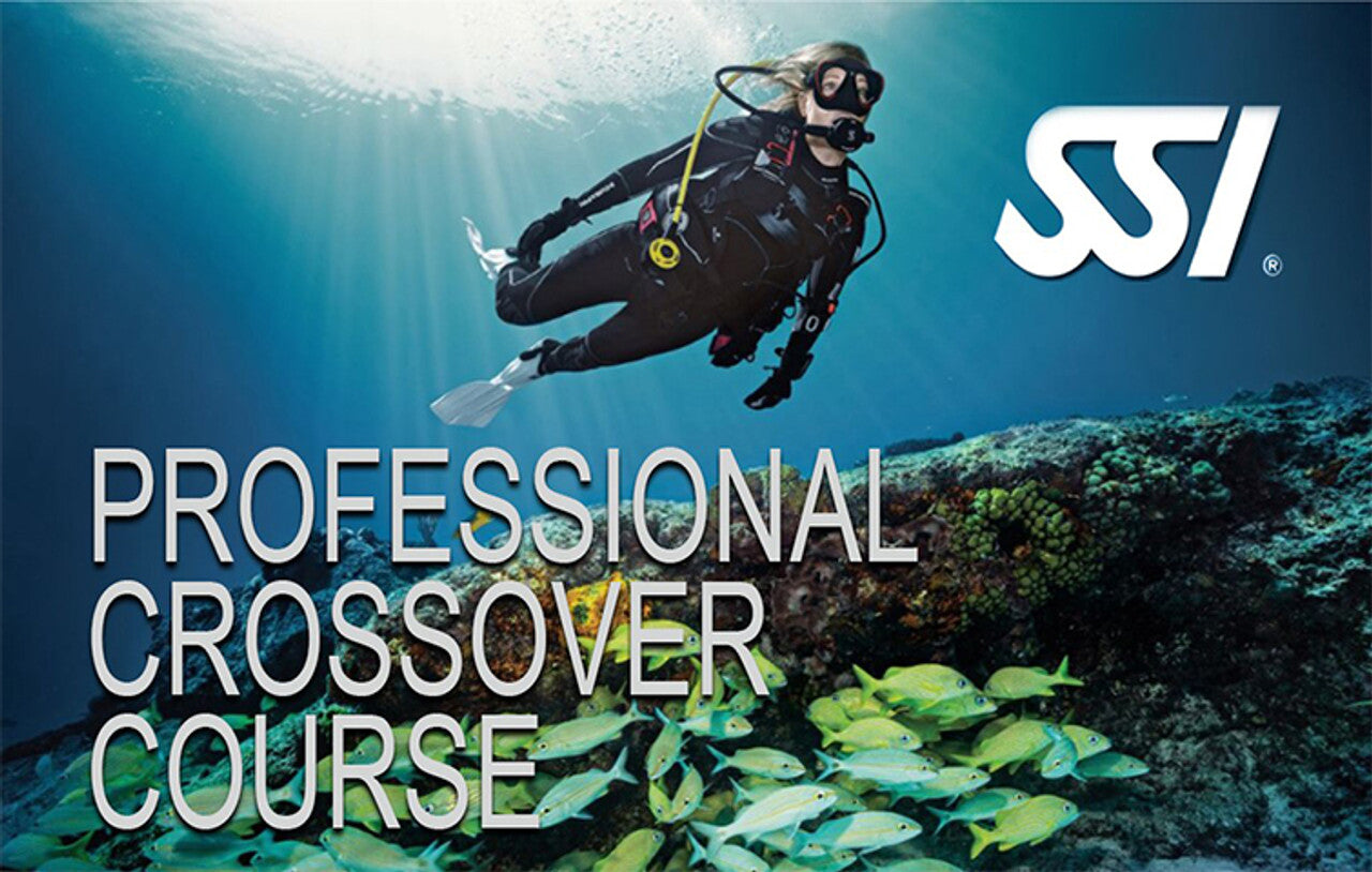 SSI Professional Level Crossover